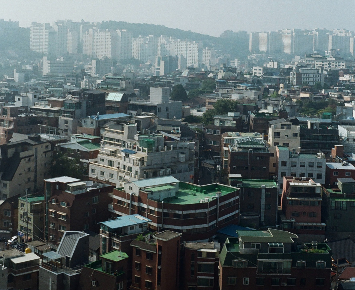 정부_전세사기 대책_최종.txt