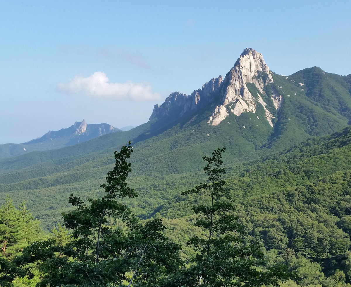 설악산에 케이블카 생긴다고?