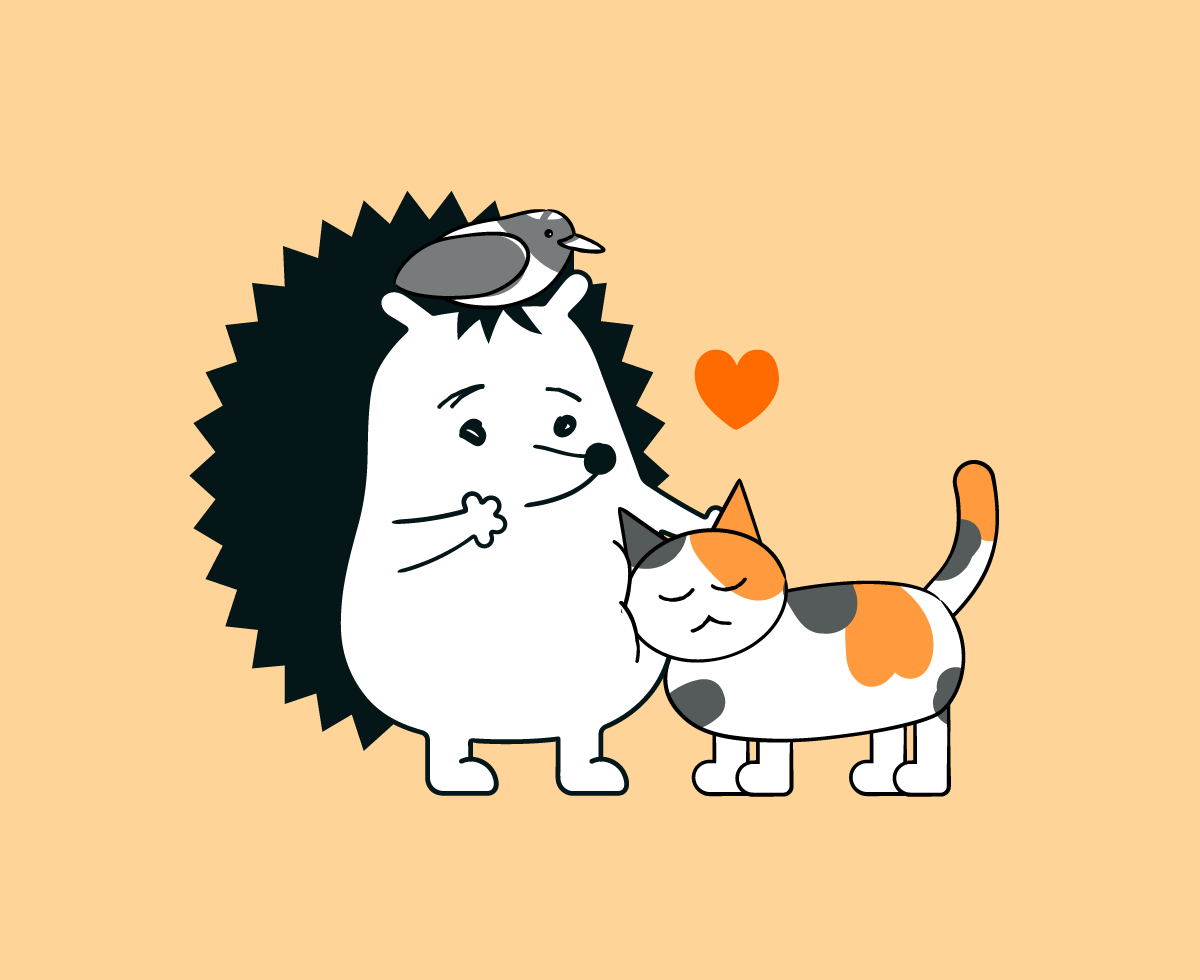 마라도에서 길고양이 내보낸 사연은?