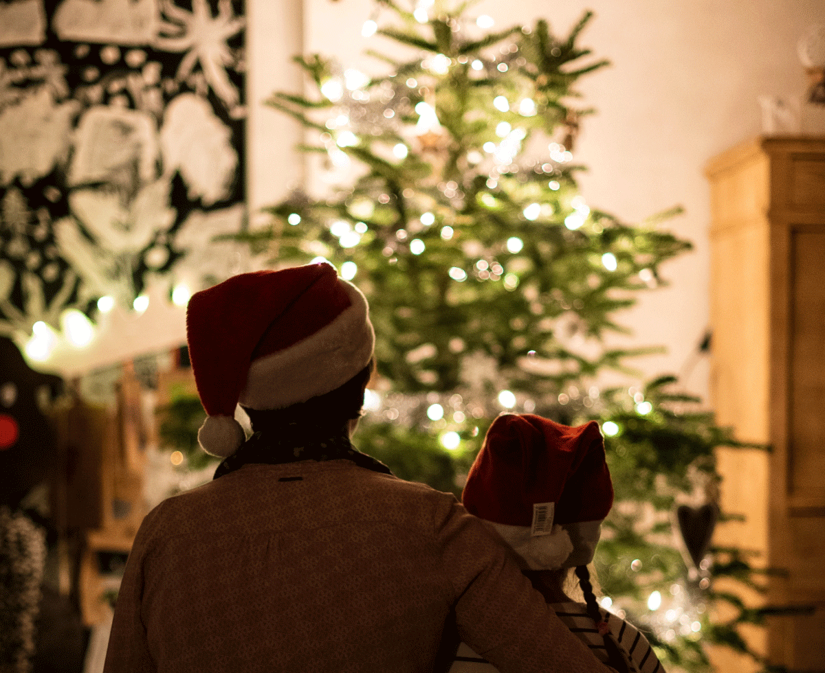 크리스마스 끝나면 트리는 어디로?