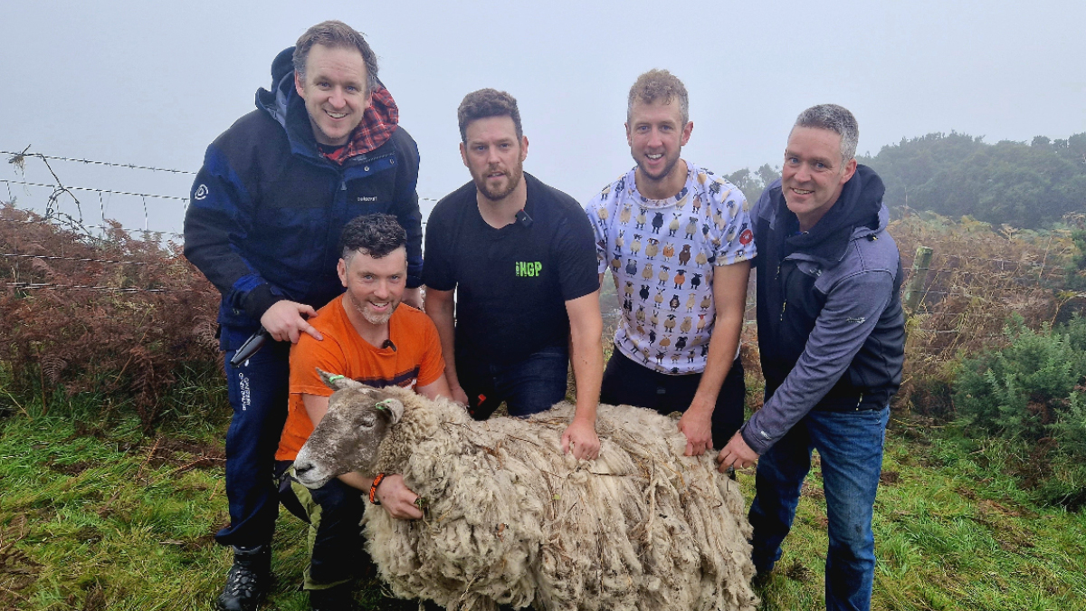 피오나! 너 내 동료가 돼라 🐑🐏