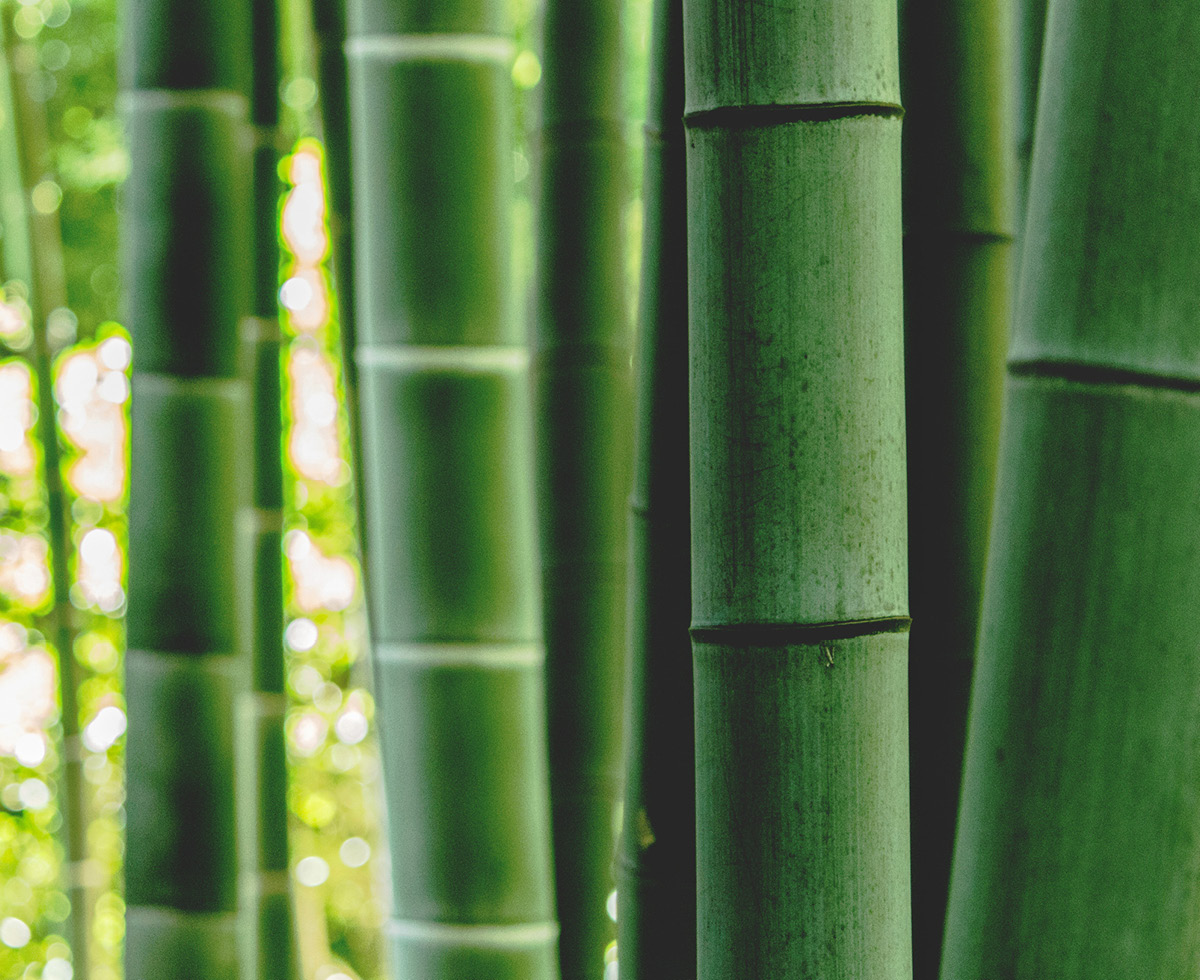 빛나라 친환경 보석!