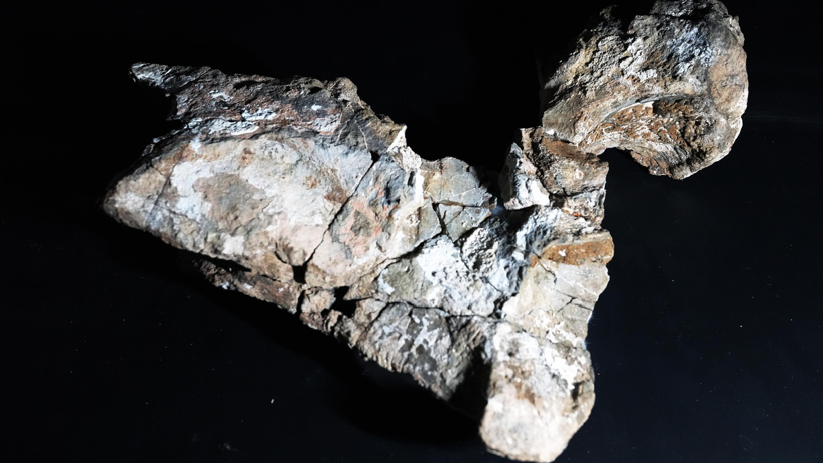 먼 옛날 지구, 지질유산으로 만나봐요