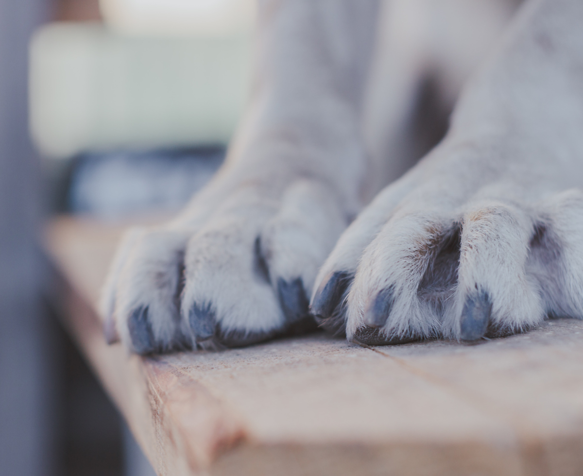 돌아와줘서 고마워