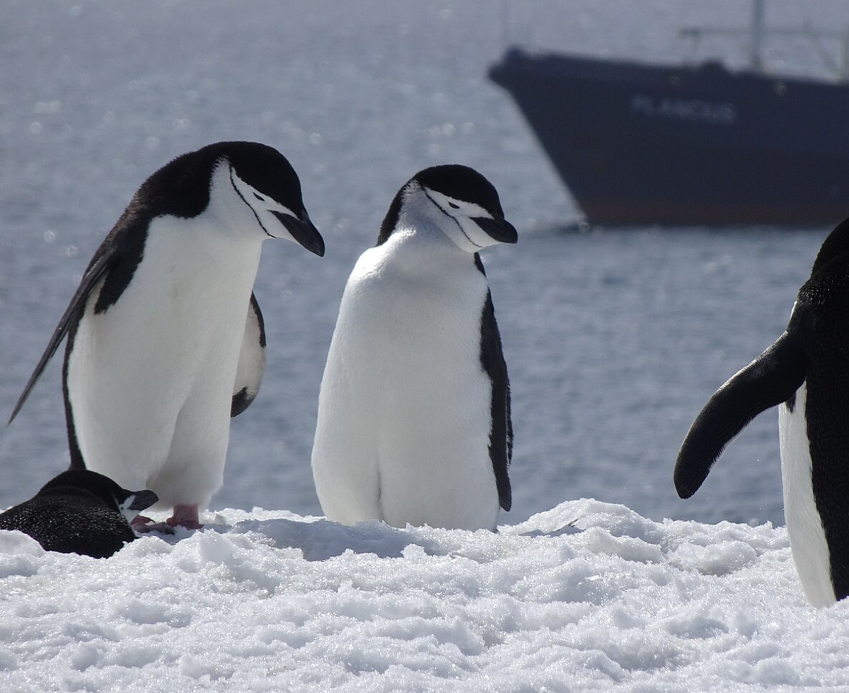 똥만 싸도 박수 쳐줘야 하는 동물