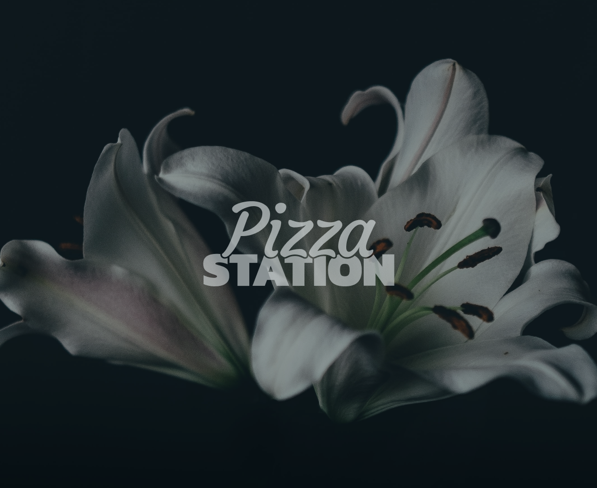 🍕정의 구현 vs. 불법 복수