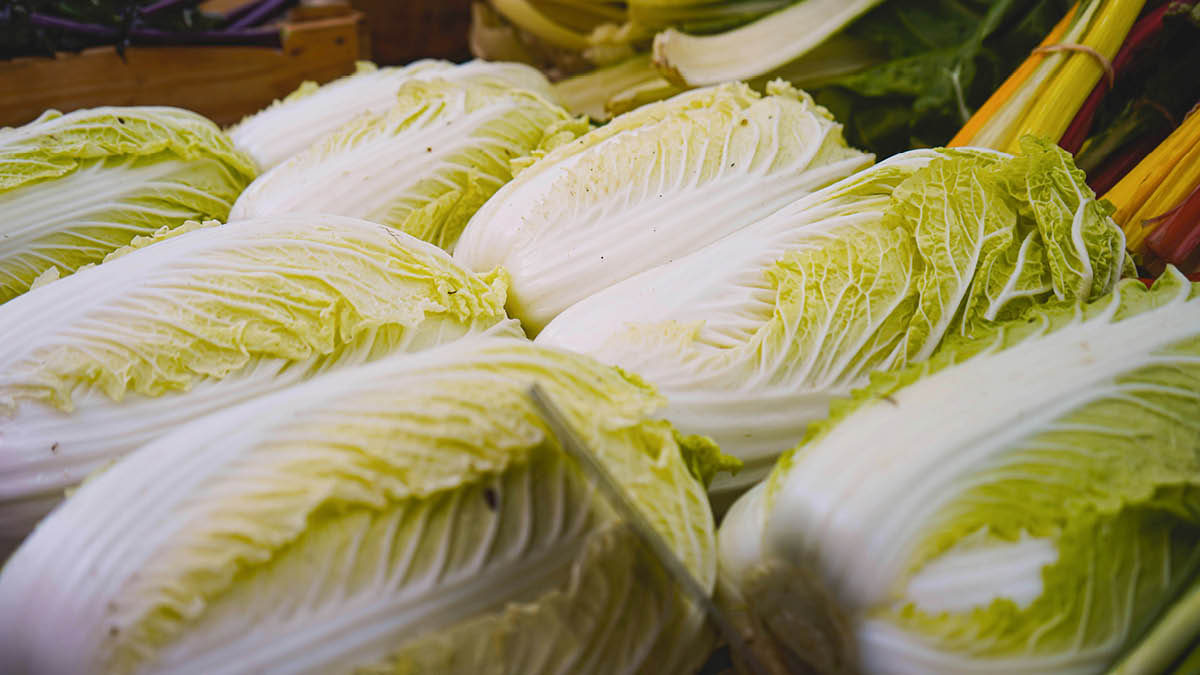 물가 어디까지 올라가는 거예요?