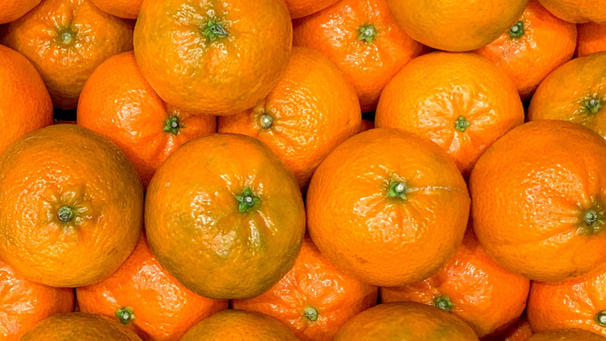 겉과 속이 다른 감귤 🍊