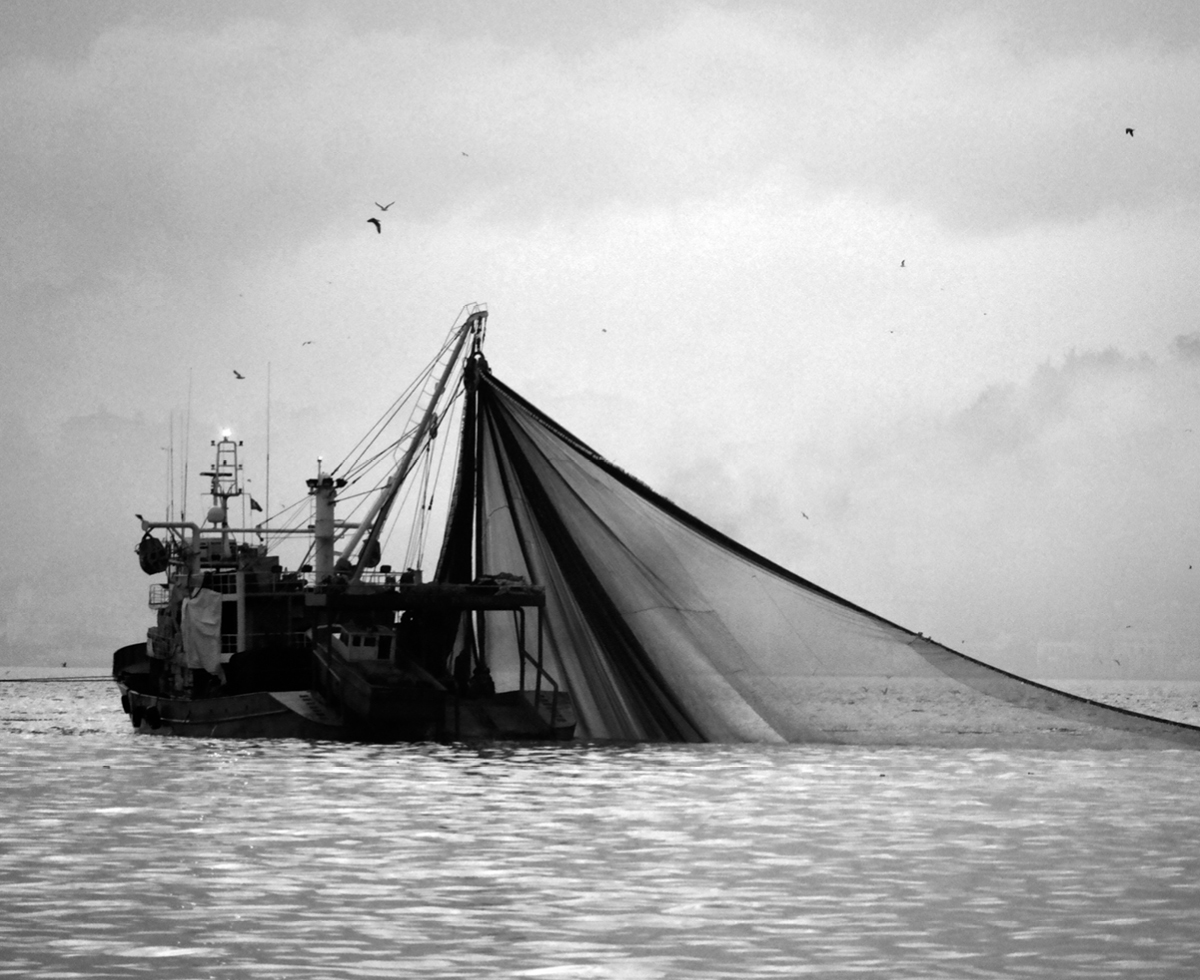 후쿠시마 수산물 수입 열어! 🇯🇵