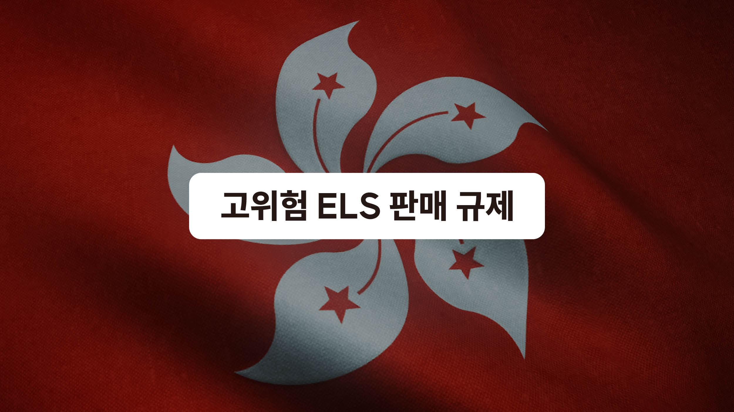 고위험 ELS 판매 멈춰!? 🙅