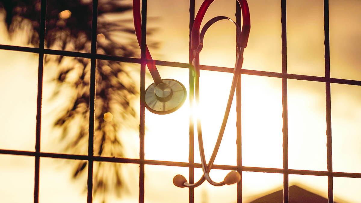 줄줄이 사직하는 의대 교수들 🩺