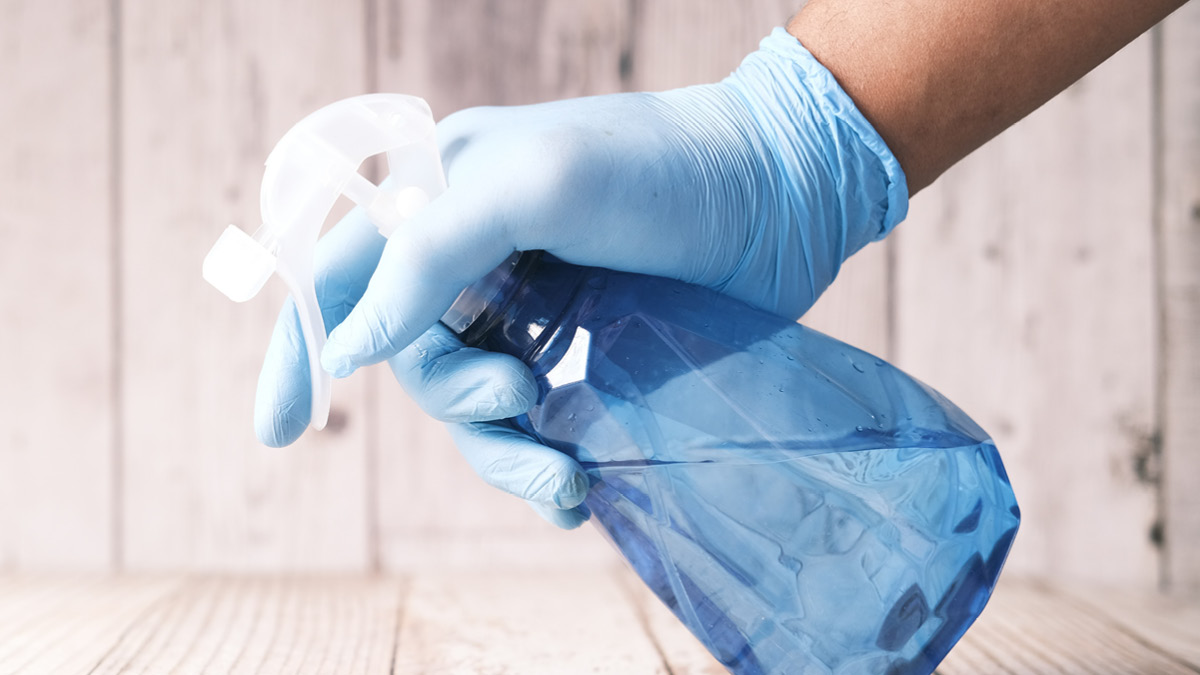 빈대경보! 빈대경보! 🚨