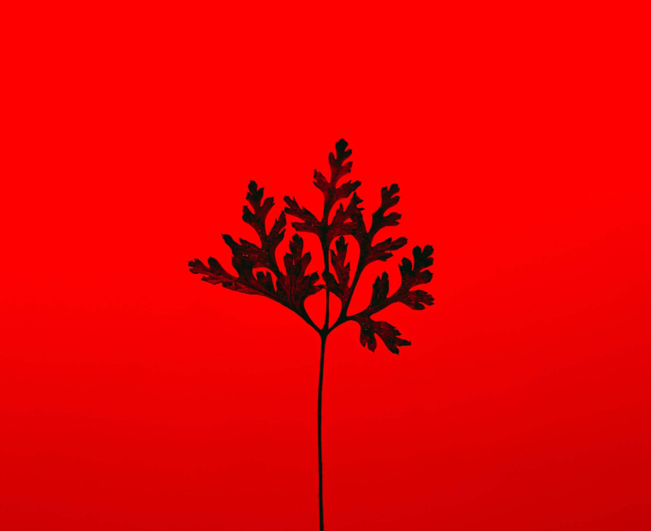 지금이 기온 레전드 🌡️