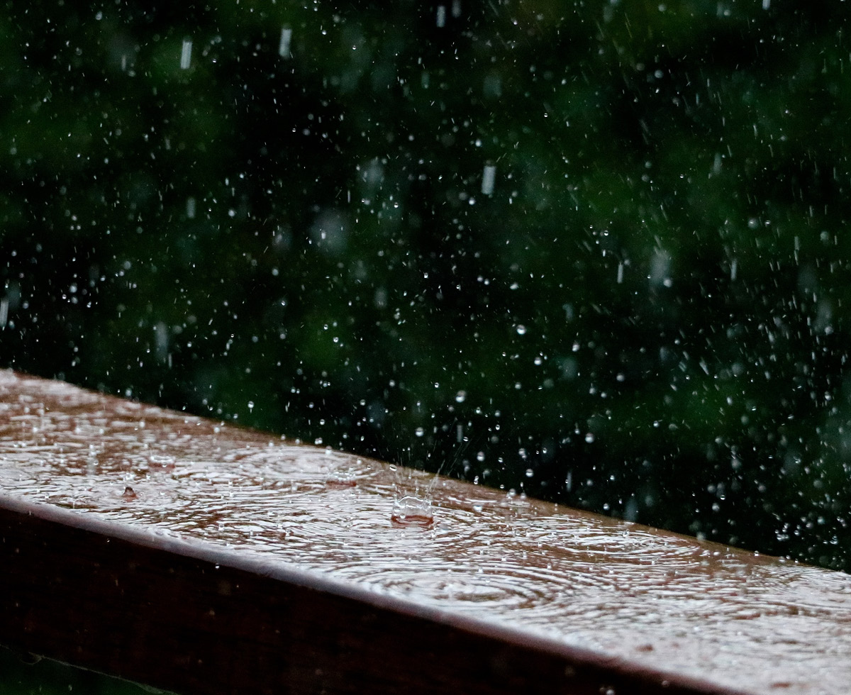 올여름 한반도: 폭우에 더위 한 스푼