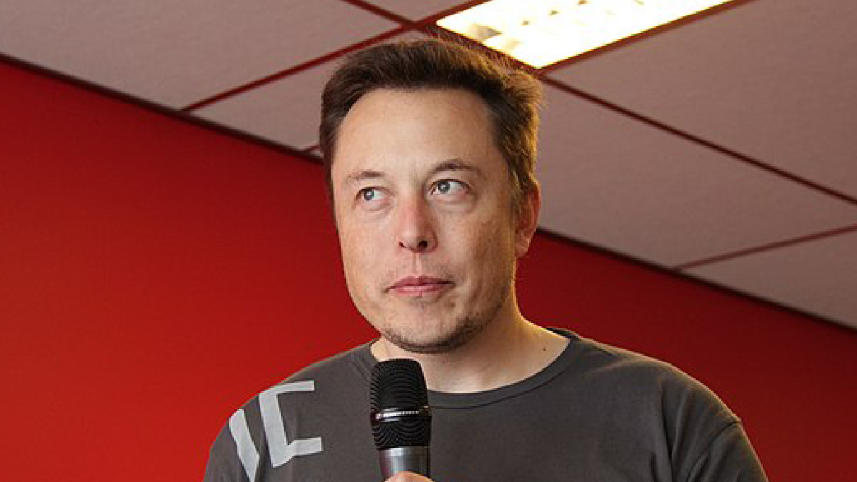 머스크가 리스크네 💥