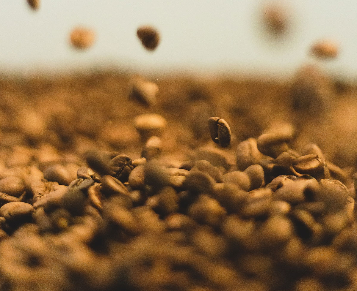 디카페인 커피 애호가 주목! ☕