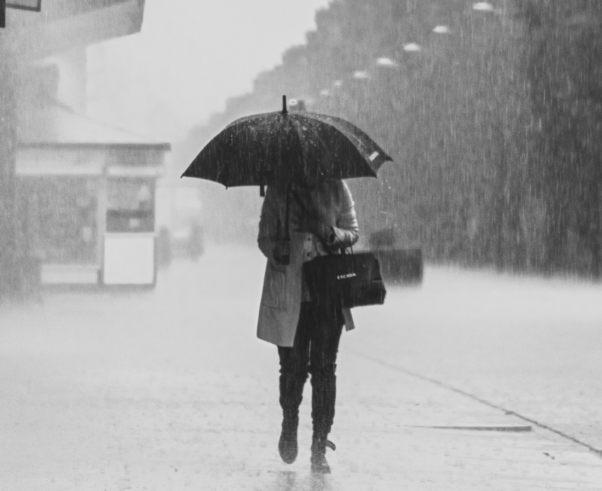 전국 폭우 피해 속출