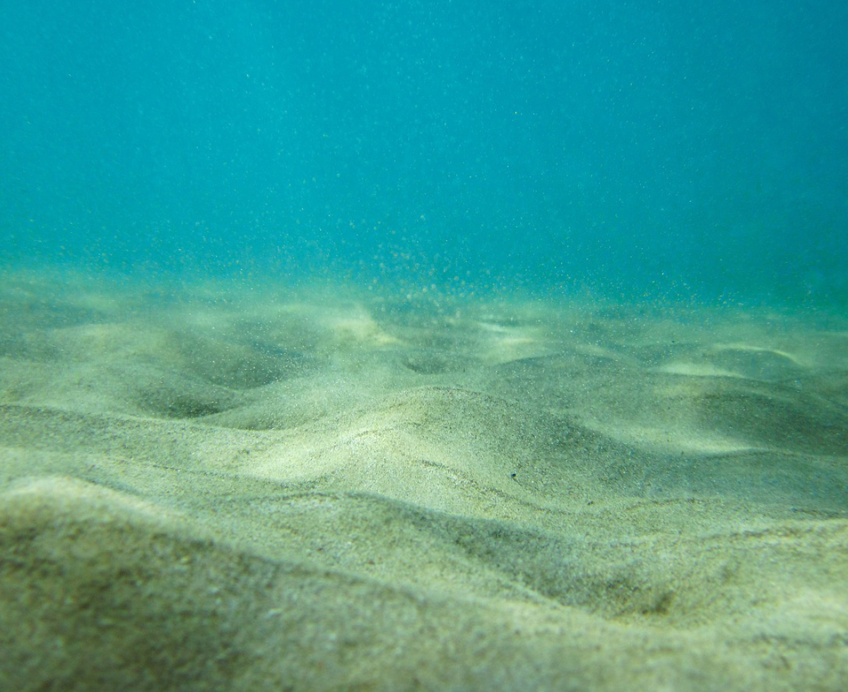 바다 온도 = 욕조 온수 온도 🌊