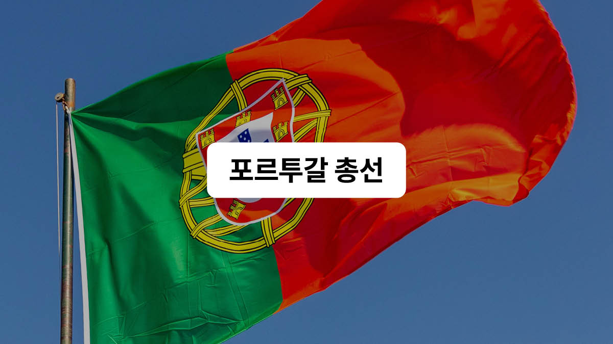 급부상하는 극우 포퓰리즘 정당 📈