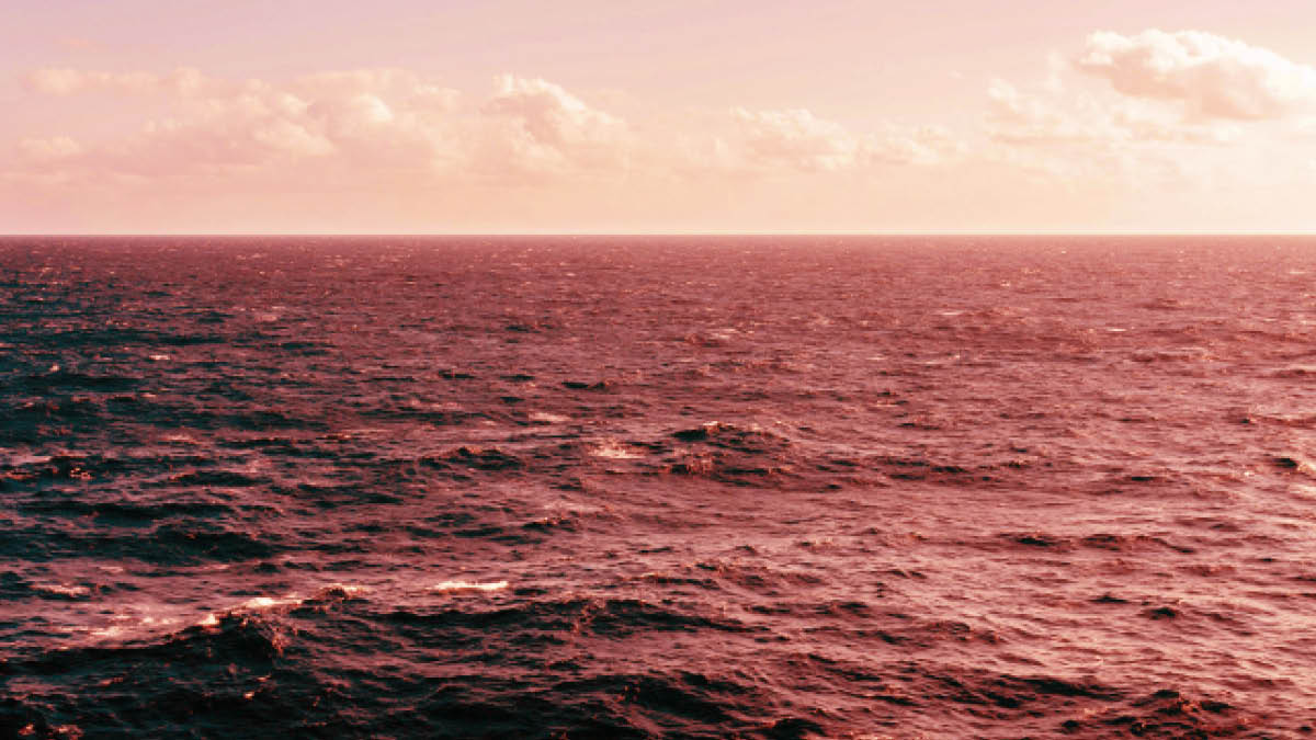 펄펄 끓고 있는 지구 🌎🌡