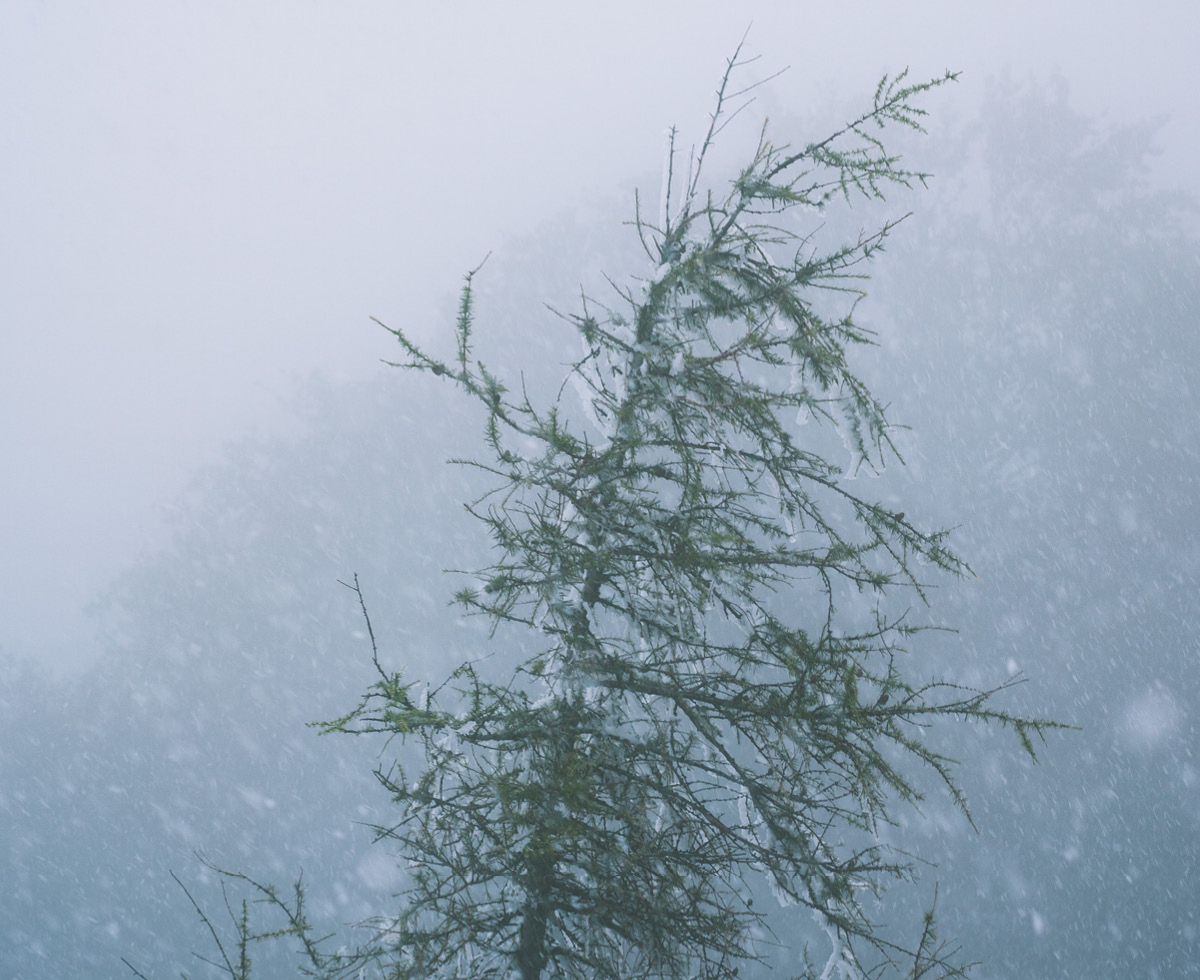 대만 한파로 146명 사망