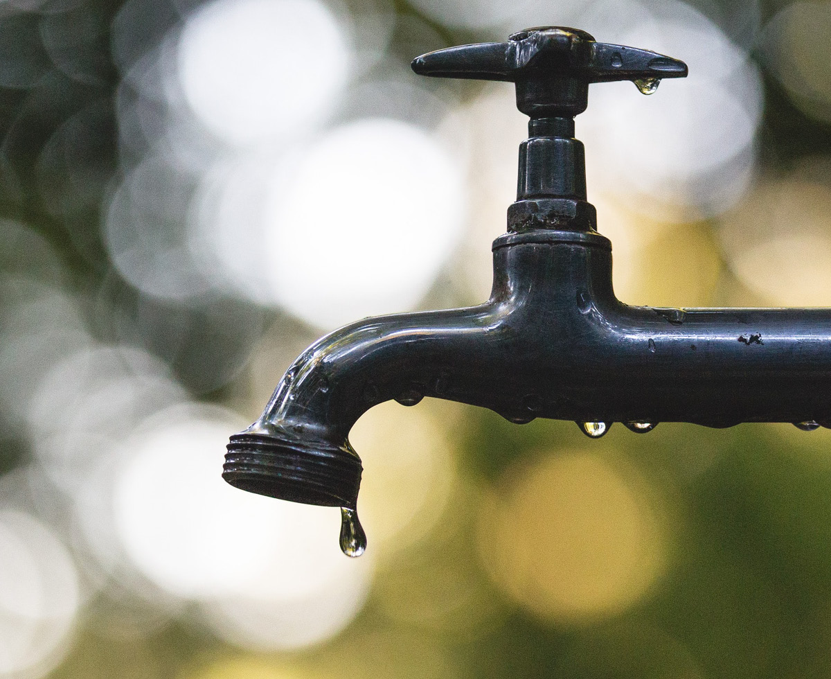 금리, 이번엔 안 올립니다~ 🧊