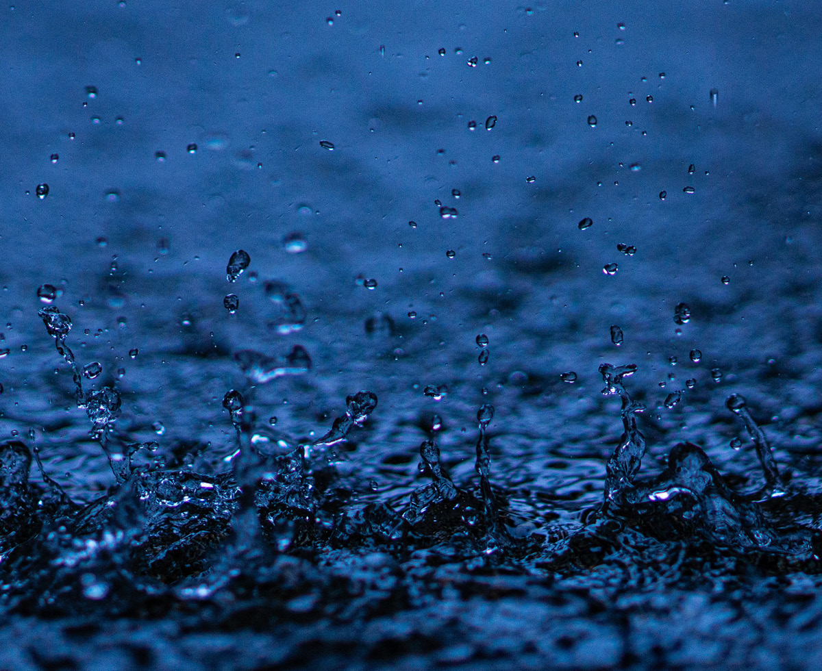 캘리포니아의 눈물