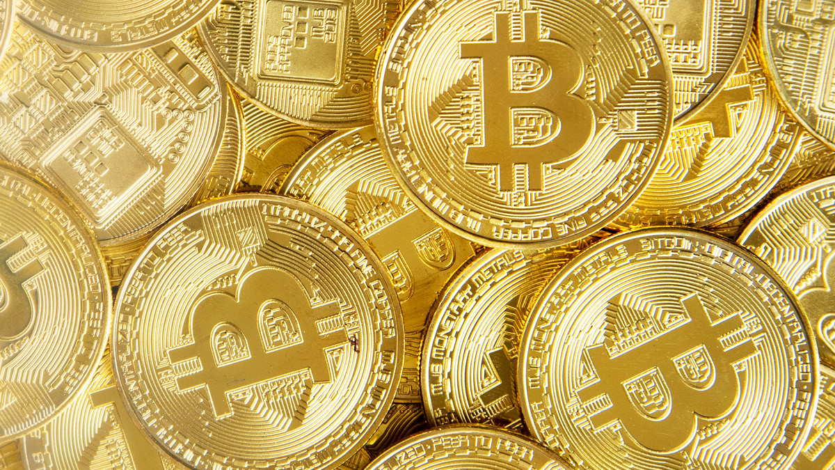 왔니 코인의 봄 📈