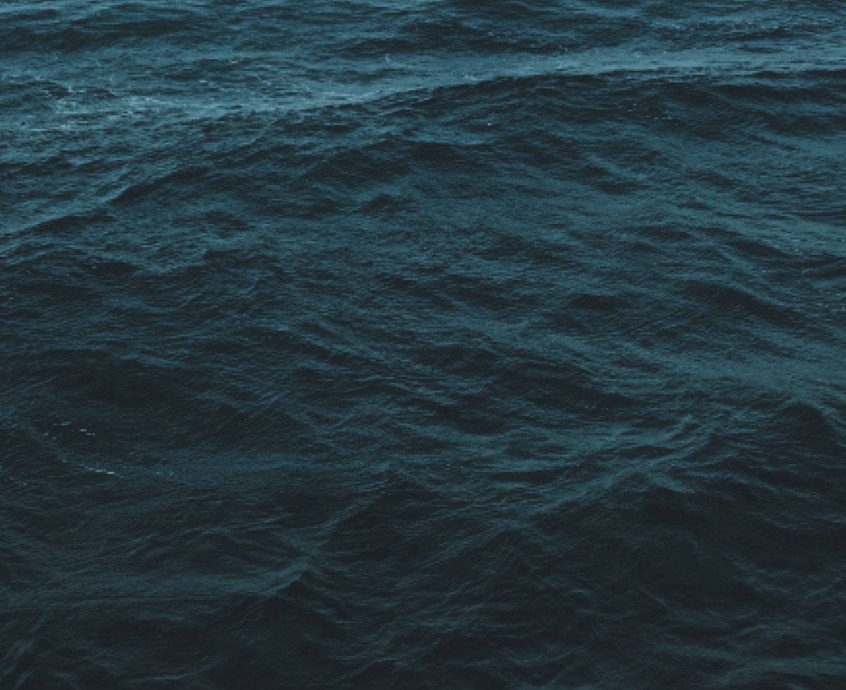 후쿠시마 시찰단 활동 개시 🔎