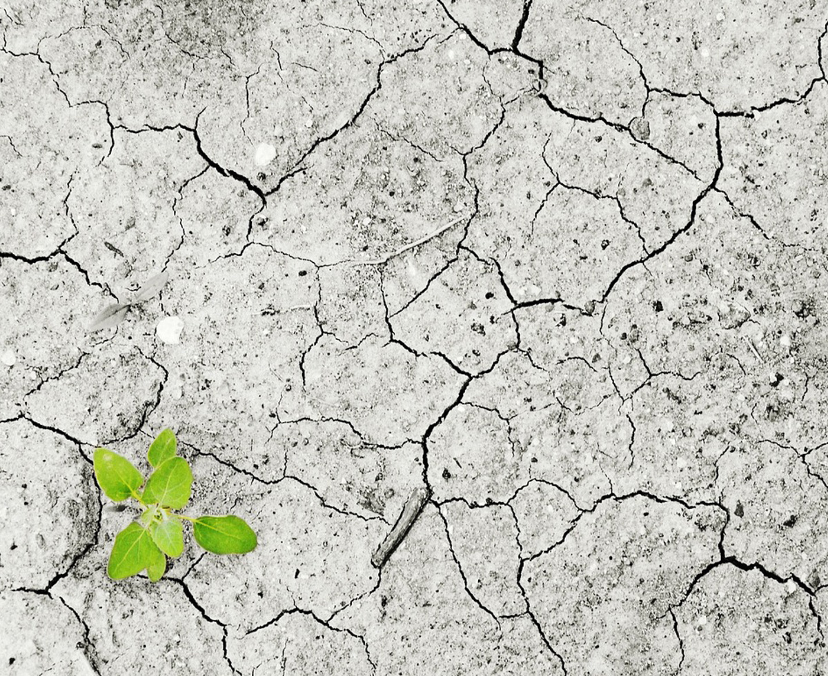 기후재난이 부르는 인플레이션 📈