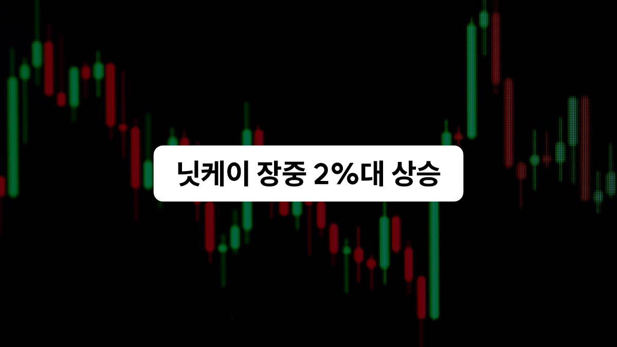 지붕 뚫은 일본 증시 💹