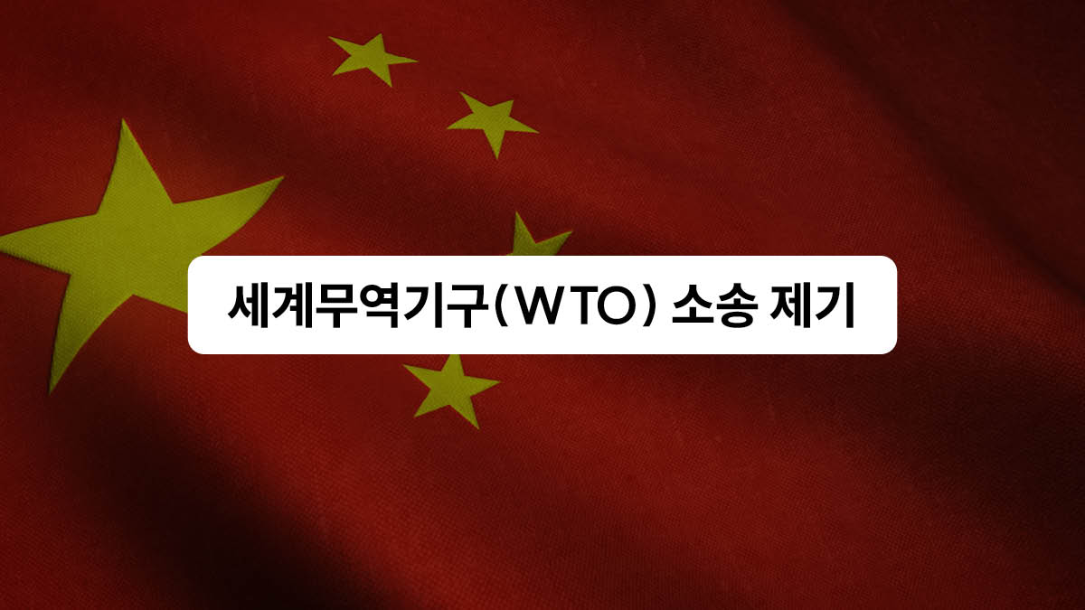 전기차 시장에 불어온 미국 vs. 중국 전쟁 🇺🇲🇨🇳