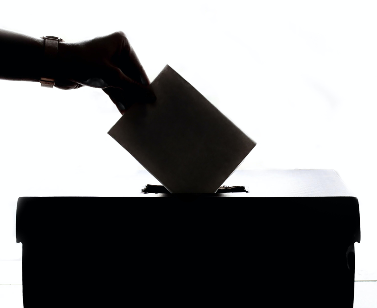 여성도 이장 나갈 수 있어