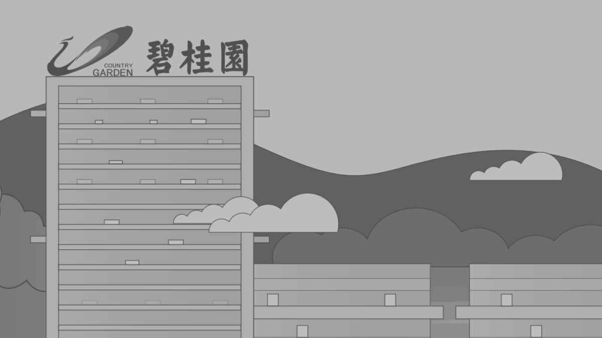 중국 부동산 대기업 재정 위기 🇨🇳