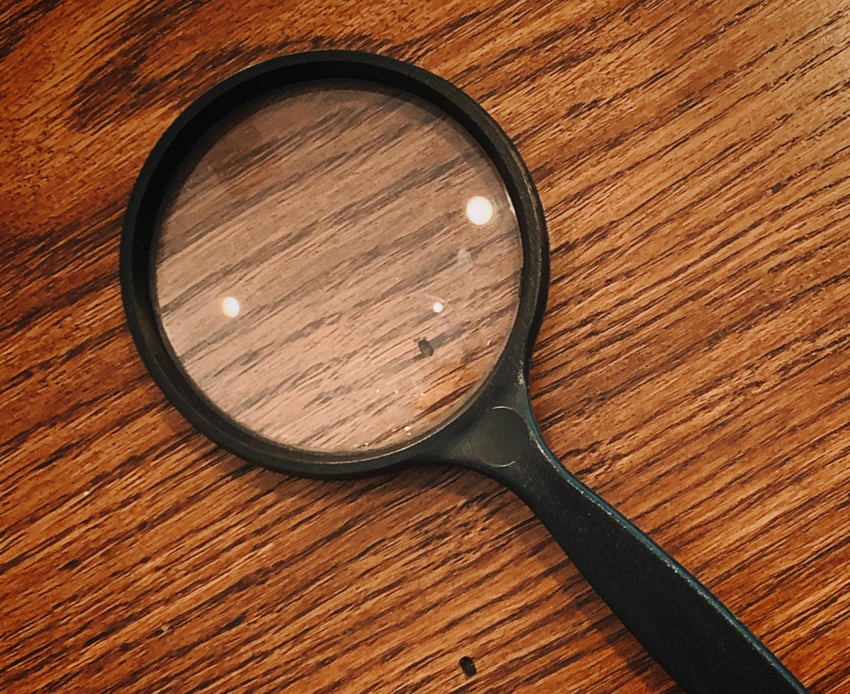 LH 본격 압수수색