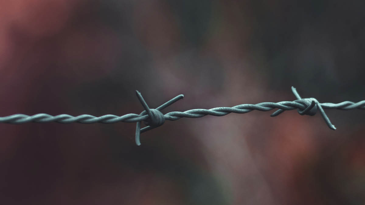 마침내 휴전할 결심...? 🤝