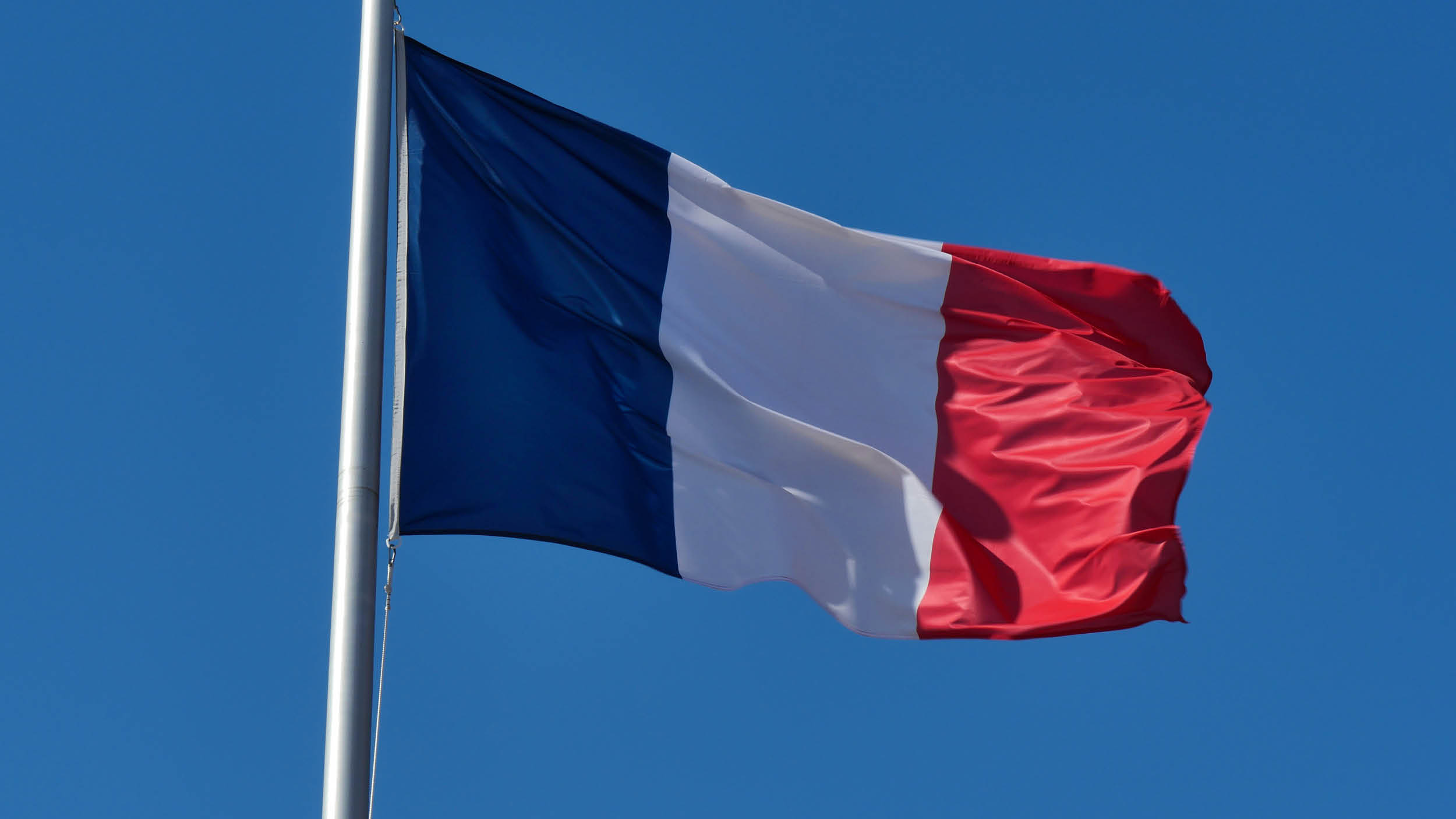 임신중단권, 헌법으로 인정 📖