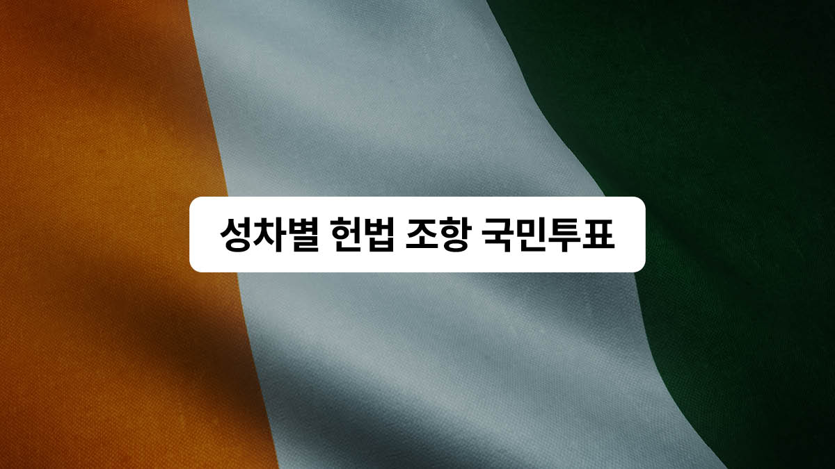 부결된 성평등 개헌 🗳️