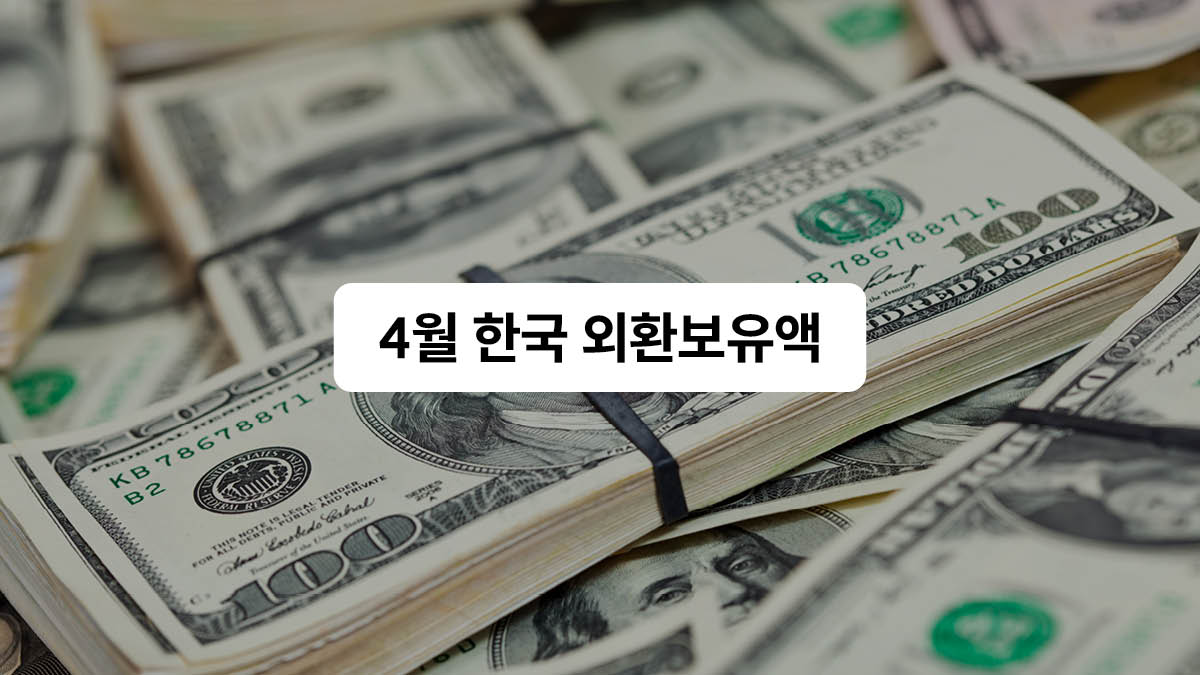 신에게는 아직 많은 외환보유액이 남아 있습니다 💵