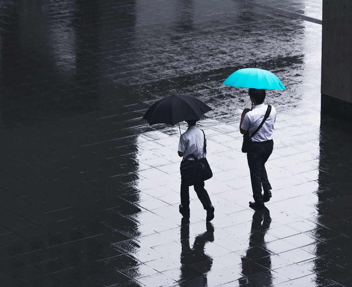 오락가락 장마 스텝 🌦️