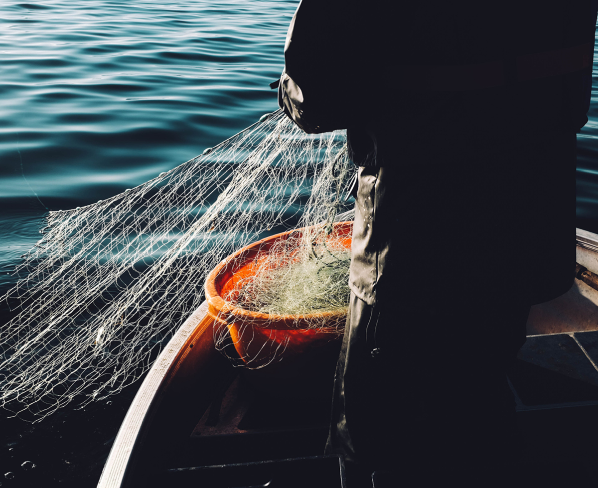 그 수산물은 반대 🇭🇰