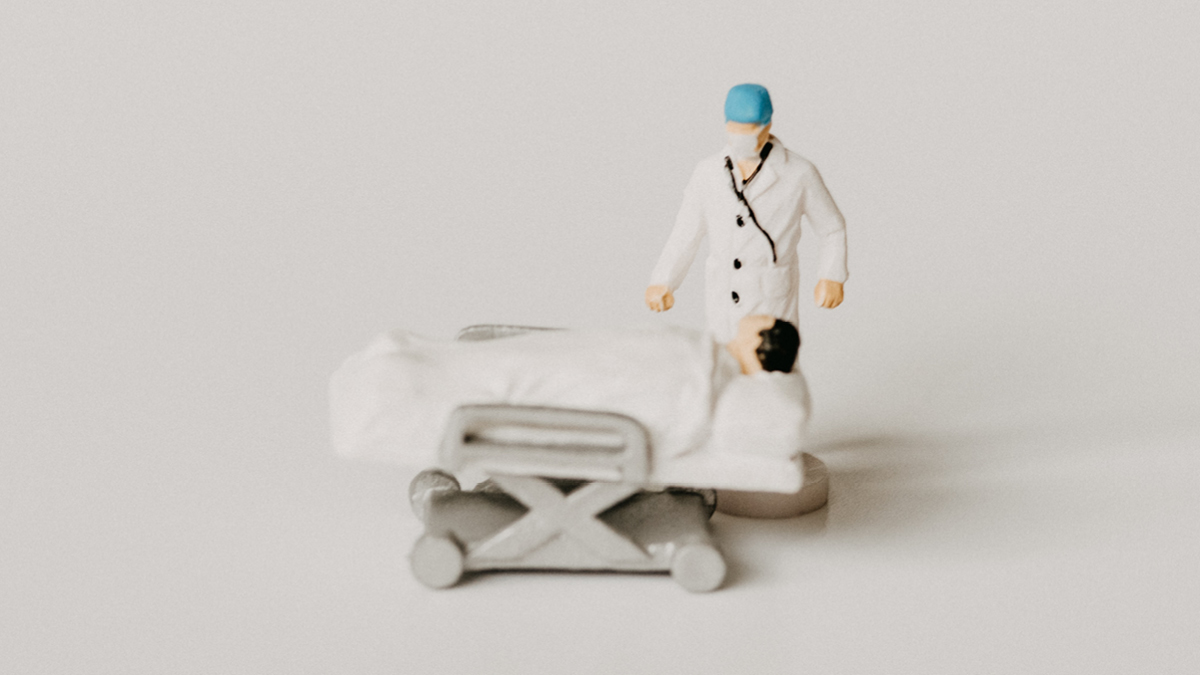 결핵 환자 증가 🦠