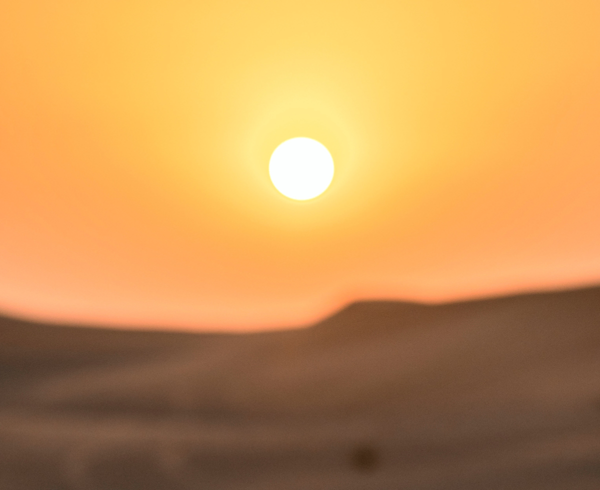 장마 끝 폭염 시작 🌡️