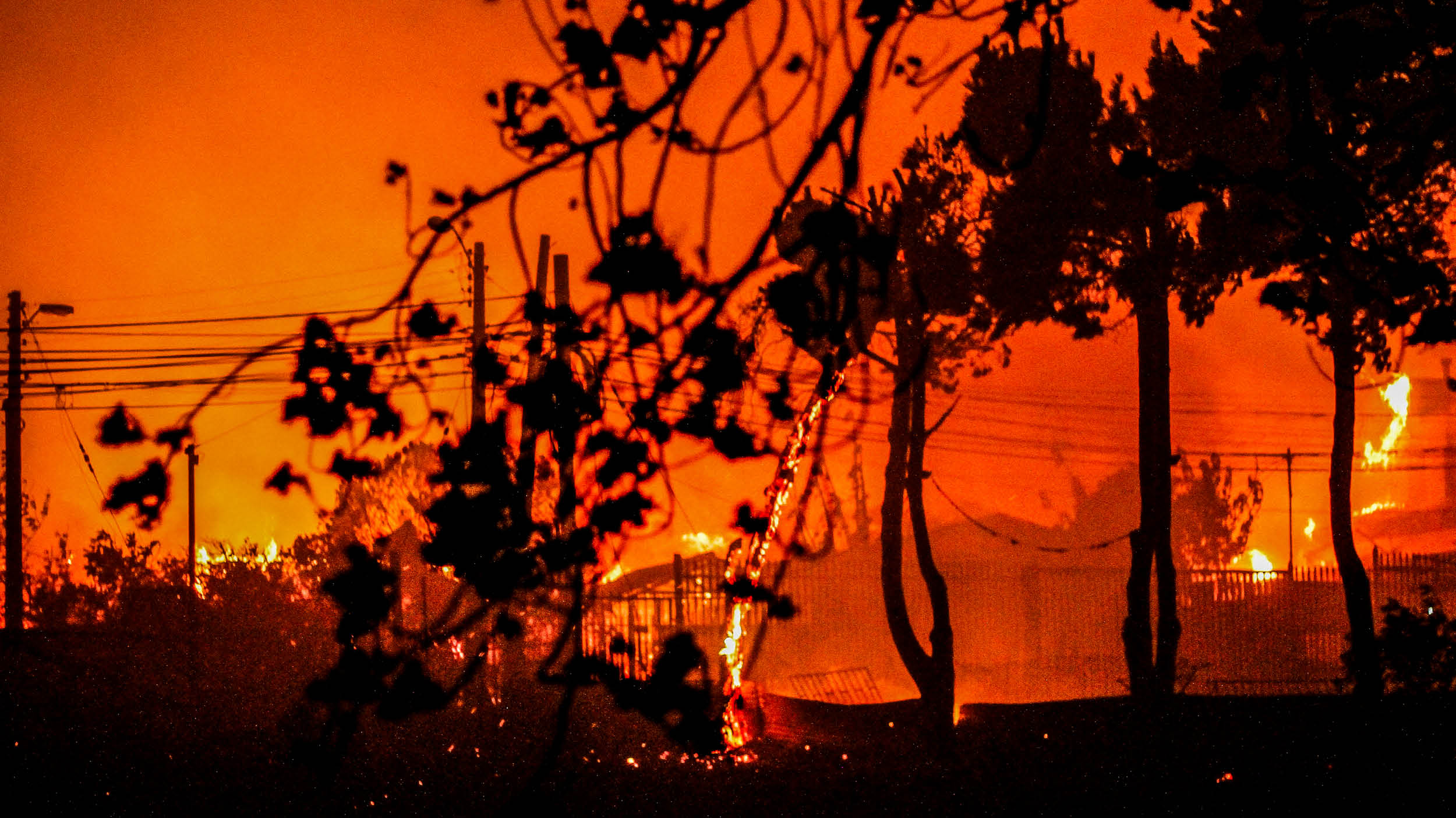 칠레 산불 피해