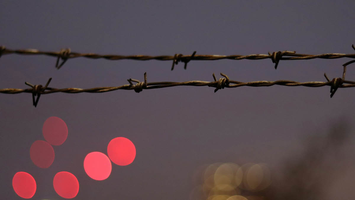 휴전 협상, 드디어 다시 시작될까 🤝