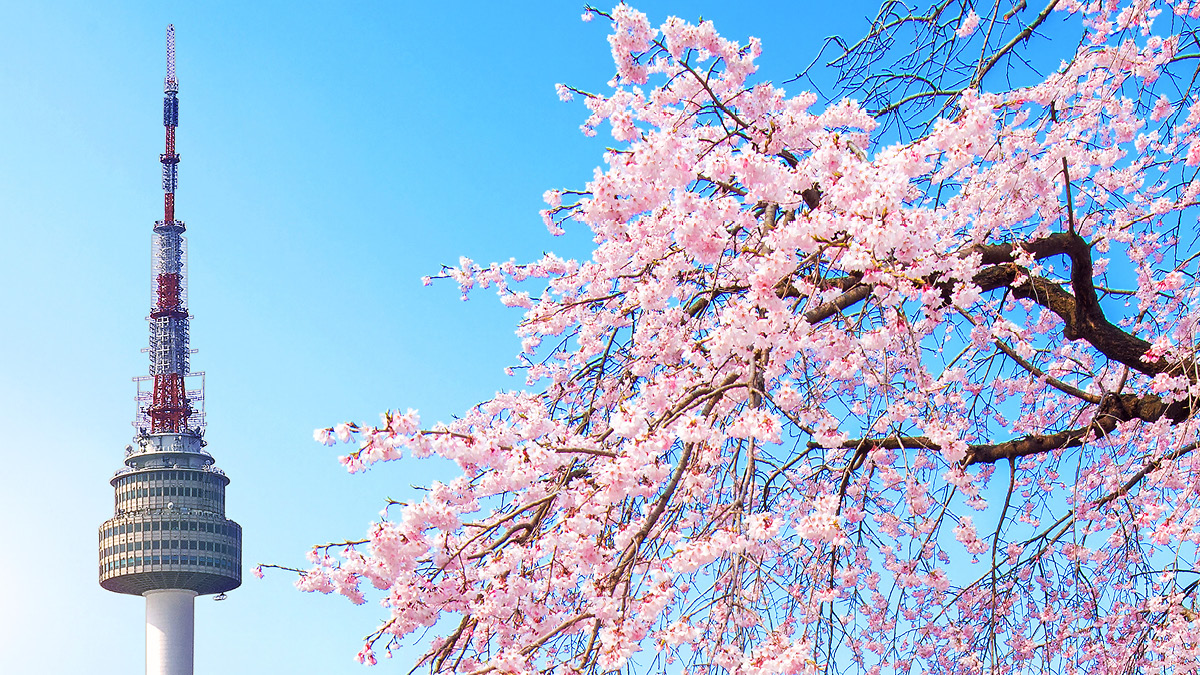 새해 들어 기지개 켠 우리 경제 📈