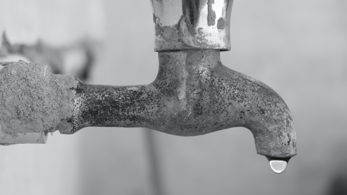 정부 예산 살짝 늘었어 👛