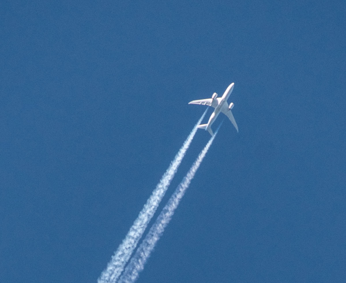 비행기표 계속 비싸집니다 💸