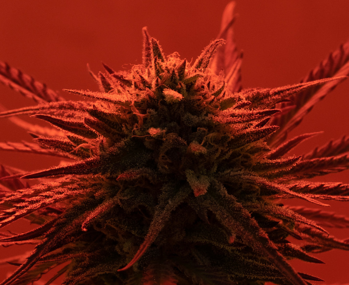 이런 파티룸은 안 됩니다 ⛔