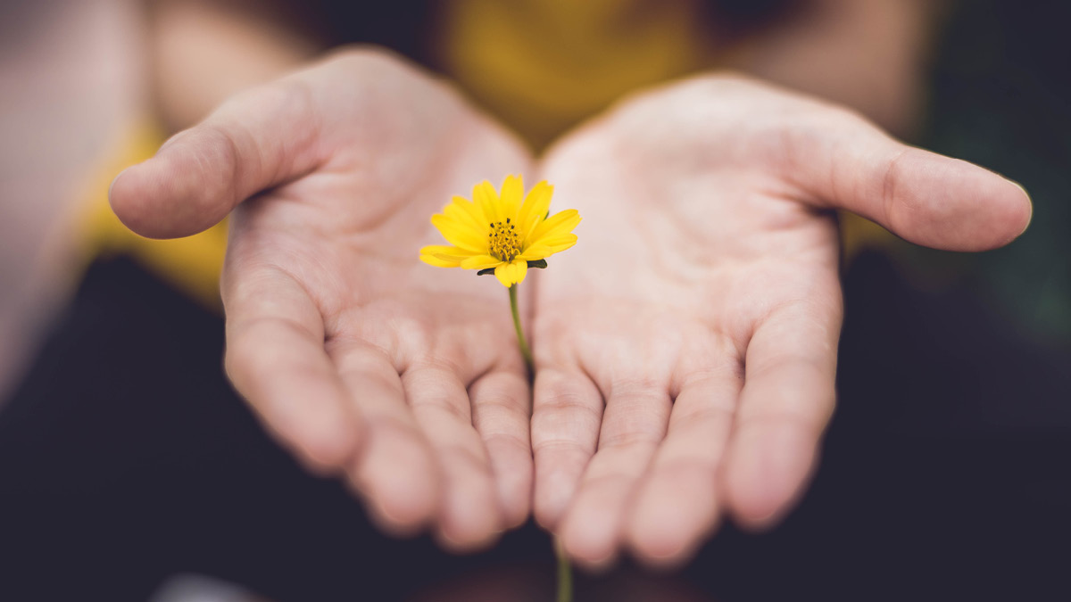 정신건강 국가가 해결할게 🆘